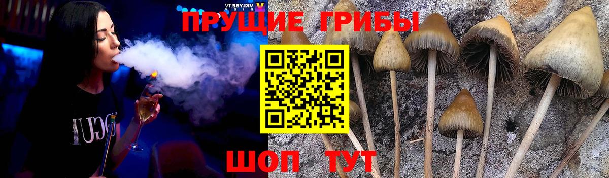 Уссурийск  Псилоцибиновые грибы мухоморы  Вход с VPN 